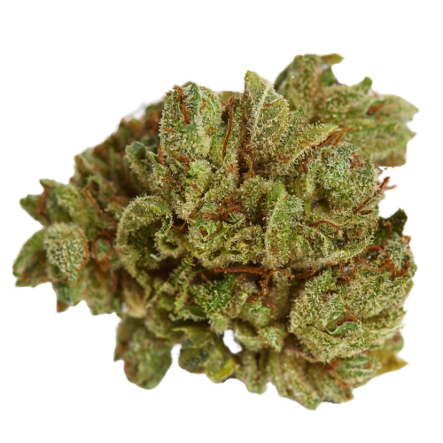 Cherry Gorilla