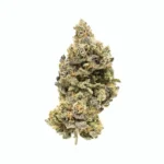 Cookie Glue